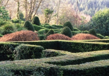 Veddw, the garden of Anne Wareham and Charles Hawes (photo copyright Charles Hawes)