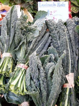 Cavolo nero - photo Joe Mabel