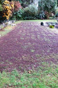 Last week was garden bed...