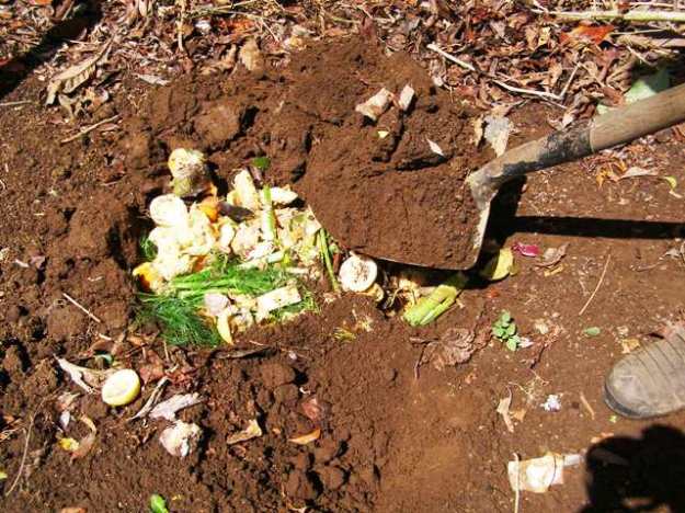 Make your own compost step-by-step guide: part one (of three parts ...