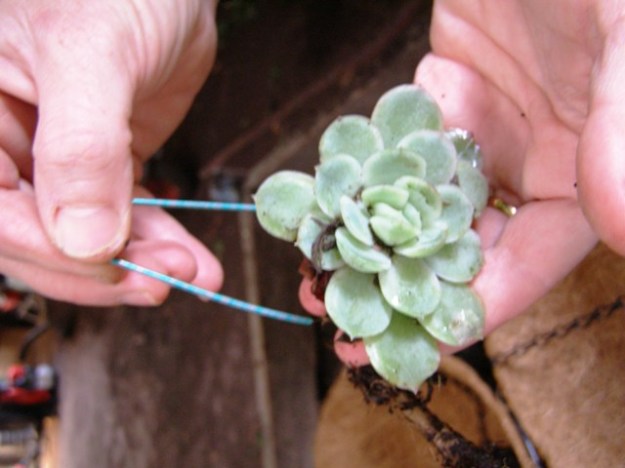 step3a-horizontal-copy