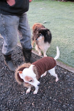 A mutinous threat from Zephyr and Spike