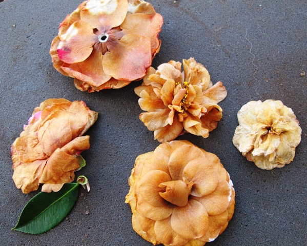 ... to this in two short days