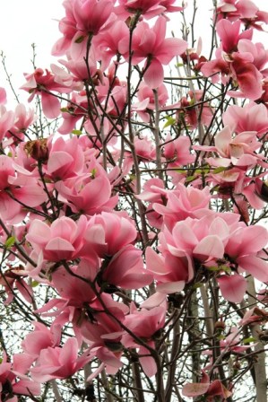 Sweetheart is not one of ours, though we would be happy if it was