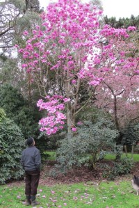 Lanarth sets the standard.  Is this significantly better? Probably not.