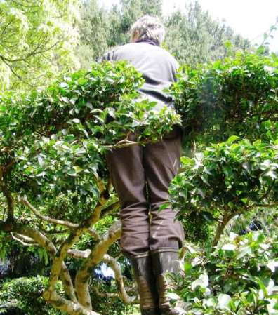 Clipping Mine No Yuki