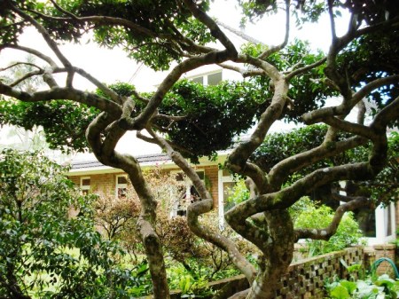 The finished product