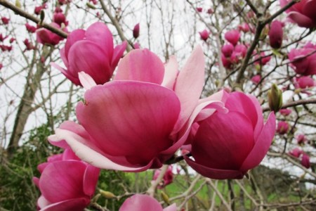 Our equivalent of Ruby