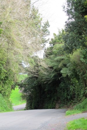 The "improved entranceway" opens from this small country road