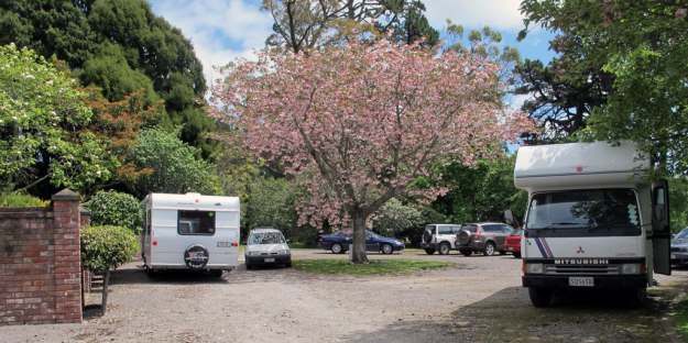 Tikorangi garden visitors October 2012