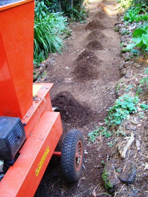 Mulching the leaf litter for the most pleasant walking surface of all 