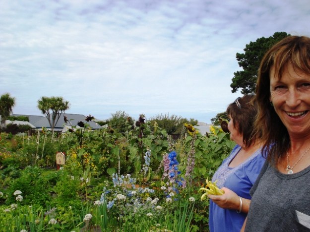 The New Brighton community gardens