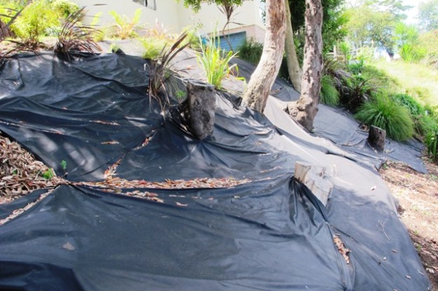 Weed mat is never a good look 