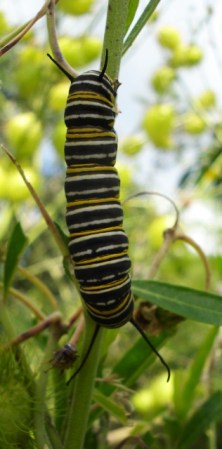 ???????????????????????????????