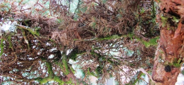 ???????????????????????????????