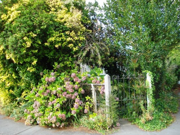 Behind every overgrown gateway, there is a personal story 