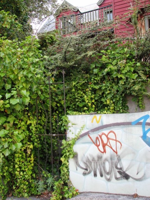 Graffiti and vandalism abound 