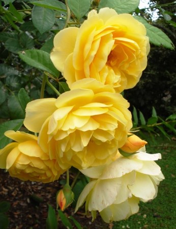 ???????????????????????????????