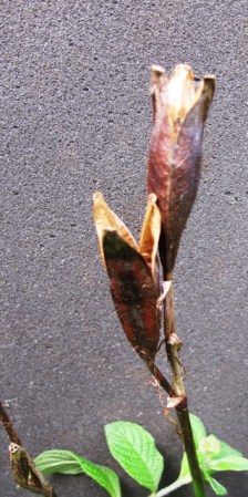 ???????????????????????????????