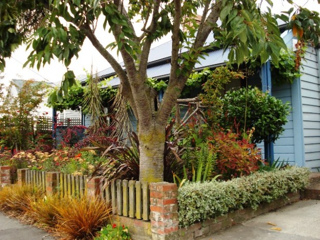 The front garden of Number 11 in tawny and red tones