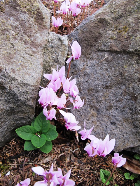 ???????????????????????????????