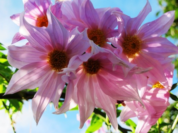 ???????????????????????????????