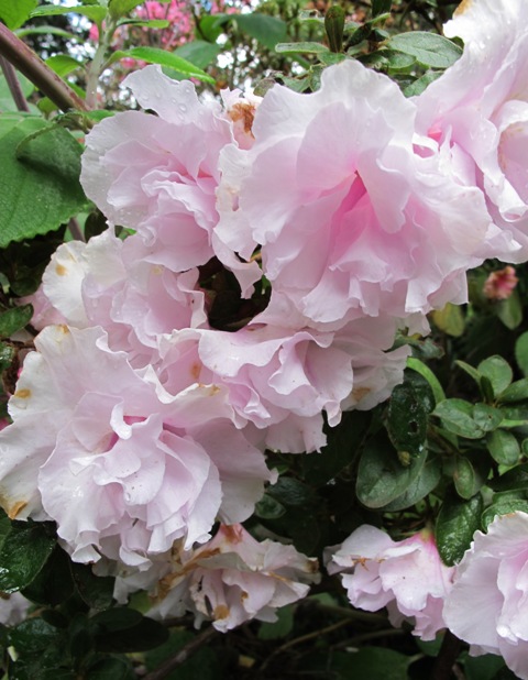 ???????????????????????????????