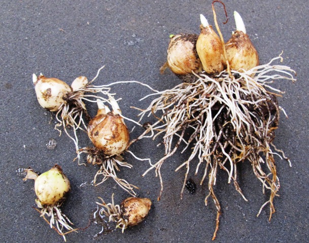 ???????????????????????????????