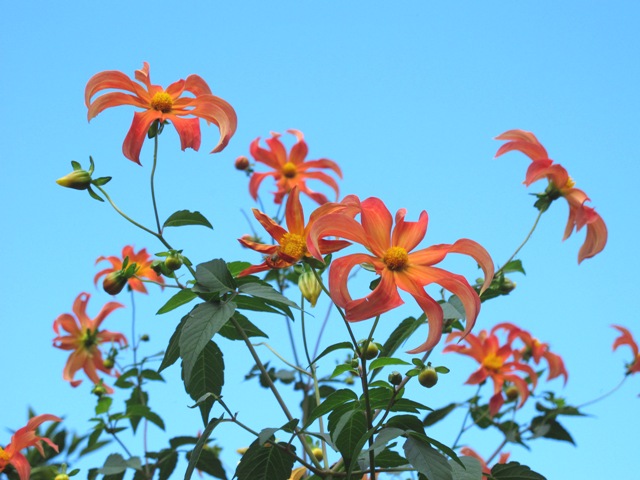 ???????????????????????????????