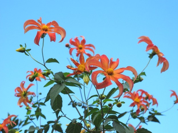 ???????????????????????????????