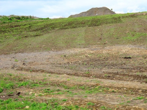 ???????????????????????????????