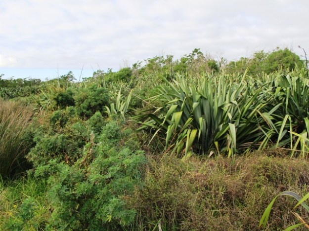 ???????????????????????????????