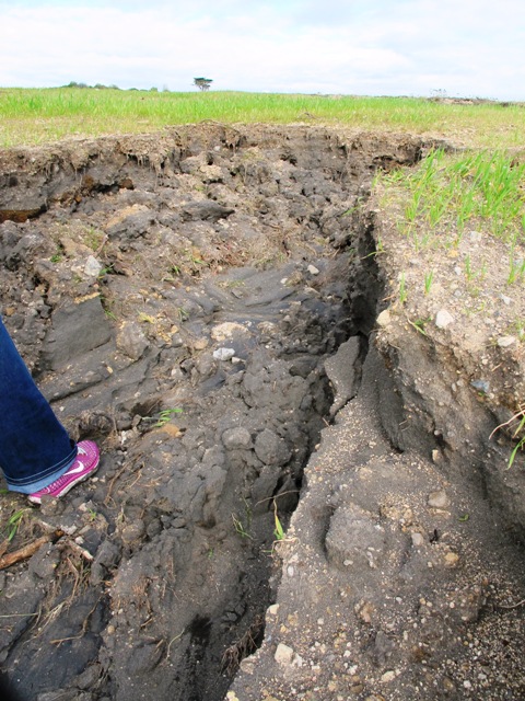 ???????????????????????????????