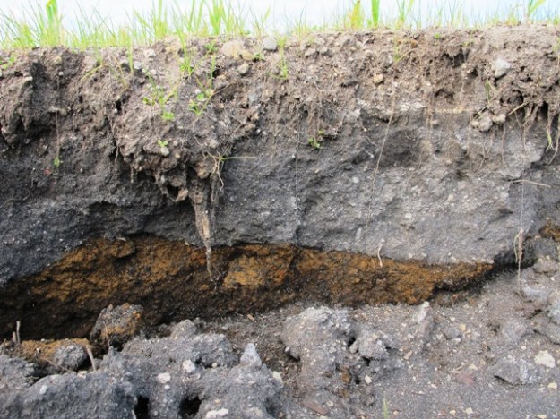 ???????????????????????????????