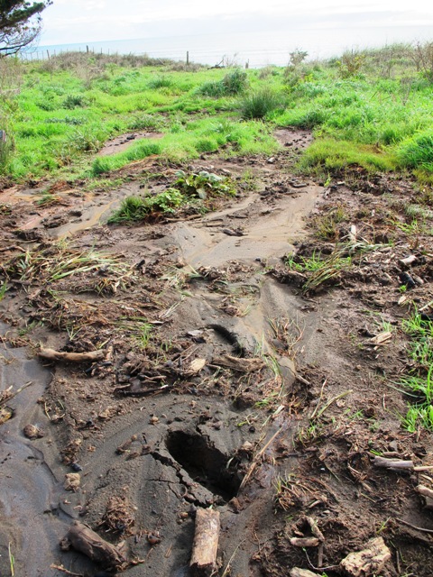 ???????????????????????????????