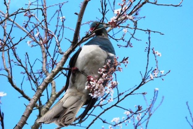 ???????????????????????????????