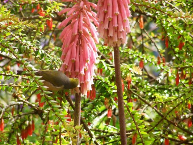 ???????????????????????????????