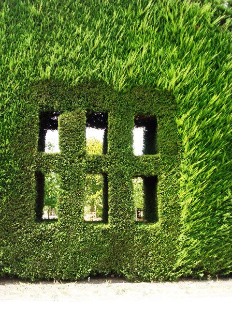 David Hobb's garden in Canterbury