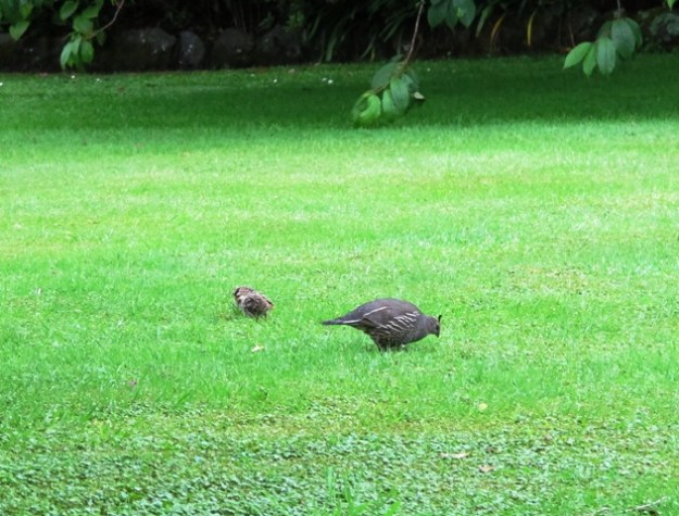 ???????????????????????????????