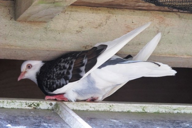 ???????????????????????????????