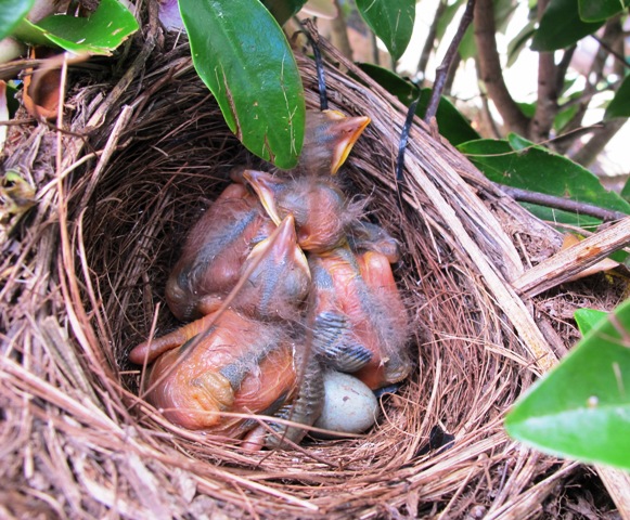 ???????????????????????????????