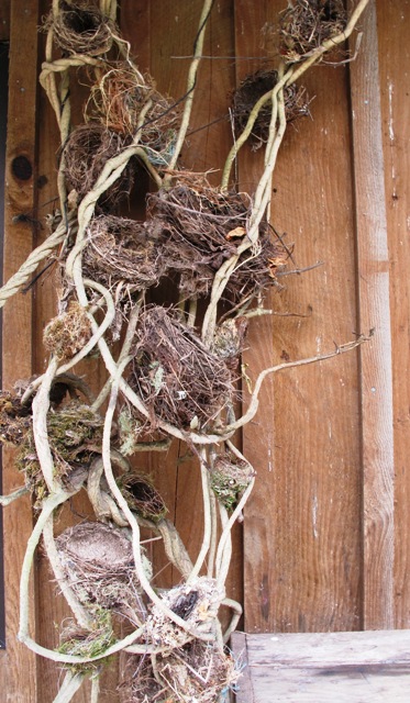 ???????????????????????????????