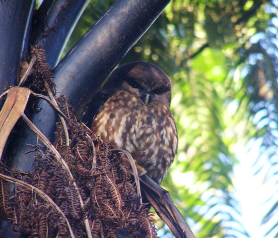 ???????????????????????????????