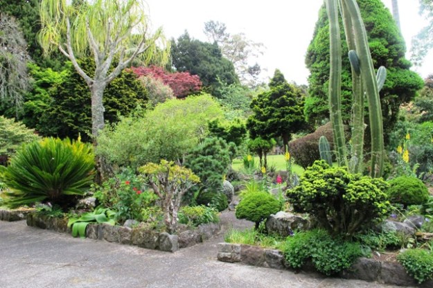 Close in by the house is under constant maintenance