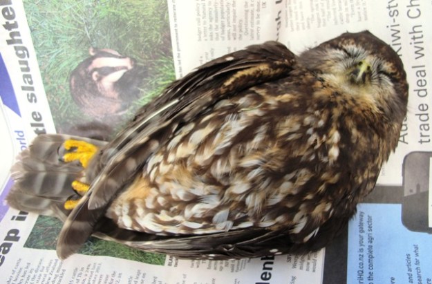 ???????????????????????????????