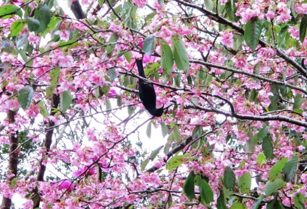 ???????????????????????????????