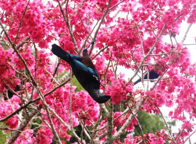 ???????????????????????????????