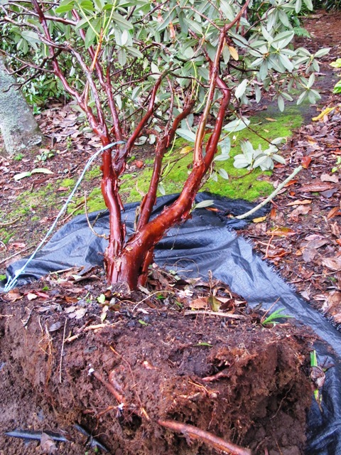 ???????????????????????????????