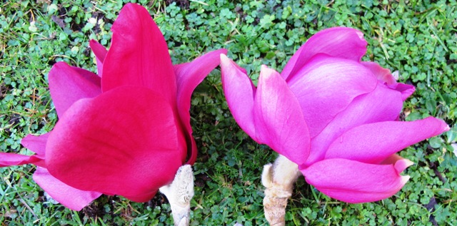 Vulcan to the left, Lanarth to the right