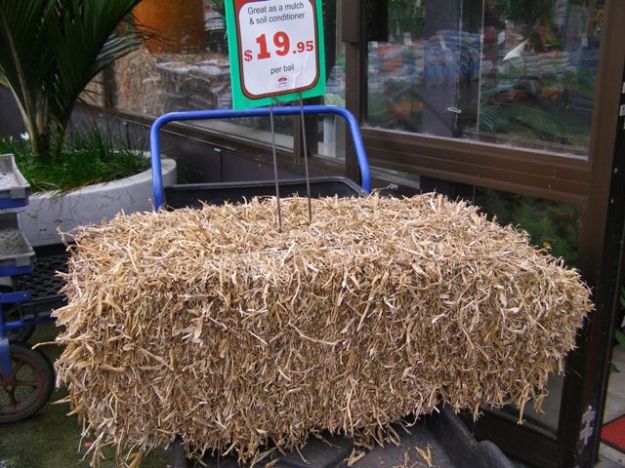 Pea straw may be a better option for the vegetable garden than the ornamental garden